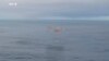 This photo provided by Axiom Space shows a SpaceX capsule parachuting into the Atlantic Ocean off the Florida coast, Feb. 9, 2024. The astronauts were returning to Earth after a mission at the International Space Station.