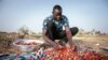 Yiwendenda Tiemtoré sorts strawberries in his field in Ouagadougou, Burkina Faso, on March 28, 2024. 