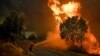 FILE - A firefighter tackles a wildfire close to the village of Pucarica in Abrantes, Portugal, Aug. 10, 2017.