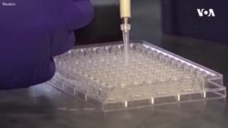Moskvanın Ukrayna-Rusiya sərhədləri boyu biosilah laboratoriyaları ilə bağlı iddiaları