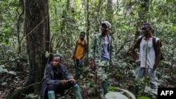 'Yan awaren Kamaru