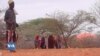 Sécheresse au Kenya: plus de 4 millions de personnes en détresse alimentaire