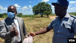 Police impound some drugs at a roadblock in Bulawayo