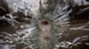 16x9 Image
