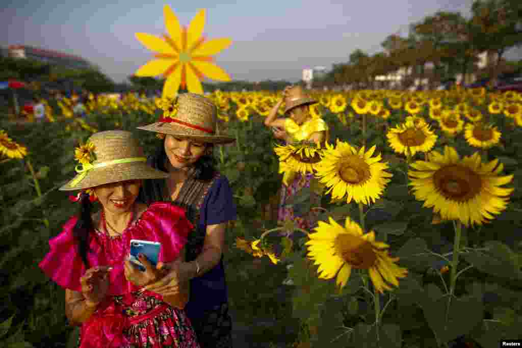 Participants take a &quot;selfie&quot; at a sunflower field in Bangkok, Thailand.