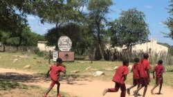 Udaba lwamaschool fees siluphiwa nguAnnahstacia Ndlovu