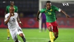 Deux matchs amicaux pour les Lions indomptables en attendant le Qatar