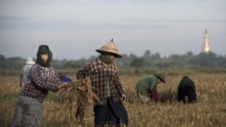 http://d2bx1imge2jl4v.cloudfront.net/MediaAssets2/burmese/2011_02/10-10-11_ECON-_ASIA_CURRENCY_WAR_ALO.mp3