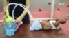 En Ukraine, un appareil respiratoire fabriqué au Kenya pour les bébés prématurés
