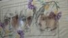 The Istanbul exhibition was the first solo show of Zehra Dogan’s work giving people in Turkey a chance to see her art, which has already drawn international acclaim.