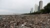 Panama Becomes First Central American Nation to Ban Plastic Bags 
