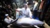 Bluefin Tuna Brings $320,000 at Japanese Market