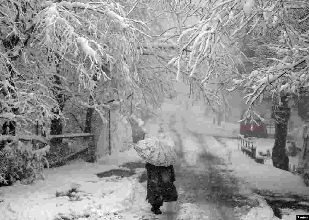 A man walks under snow-covered trees during snowfall in Tangmarg town in Kashmir region, India.
