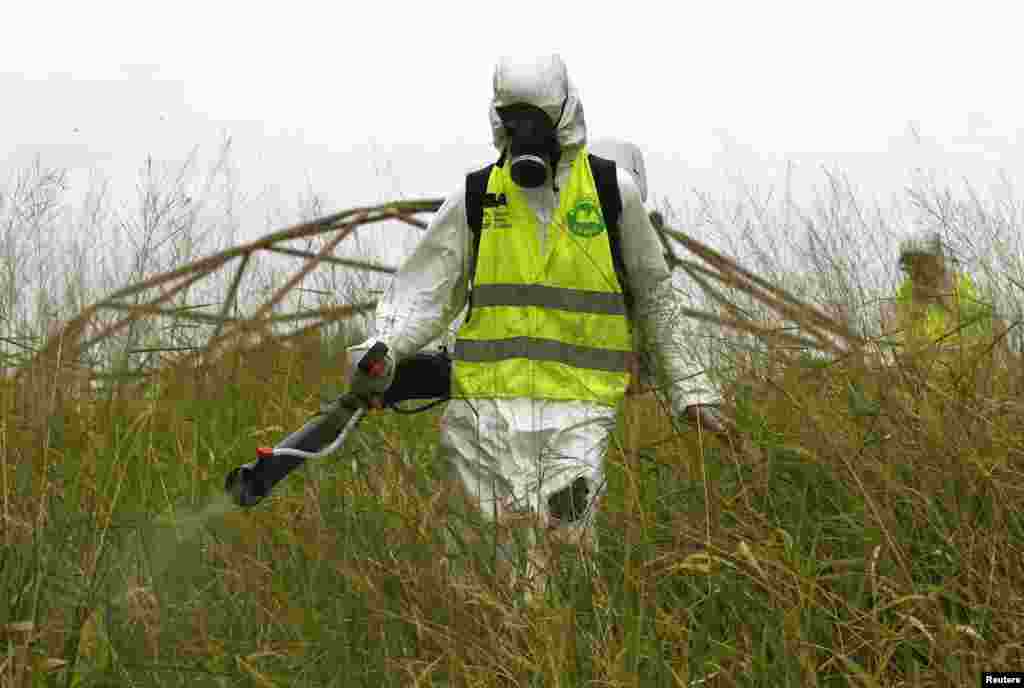 Workers carry out fumigation in Buenos Aires. Argentina has confirmed its first case of the mosquito-transmitted Zika virus after a Colombian woman living in Buenos Aires tested positive. In the city and its densely populated outskirts, workers have been fumigating parks to try to eradicate the Aedes aegypti mosquito that transmits Zika as well as dengue fever and yellow fever.