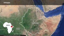 "የኢትዮጵያ የደኅንነት ሥጋት የብሄር ፖለቲካ ነው"የኢትዮጵያ መንግሥት