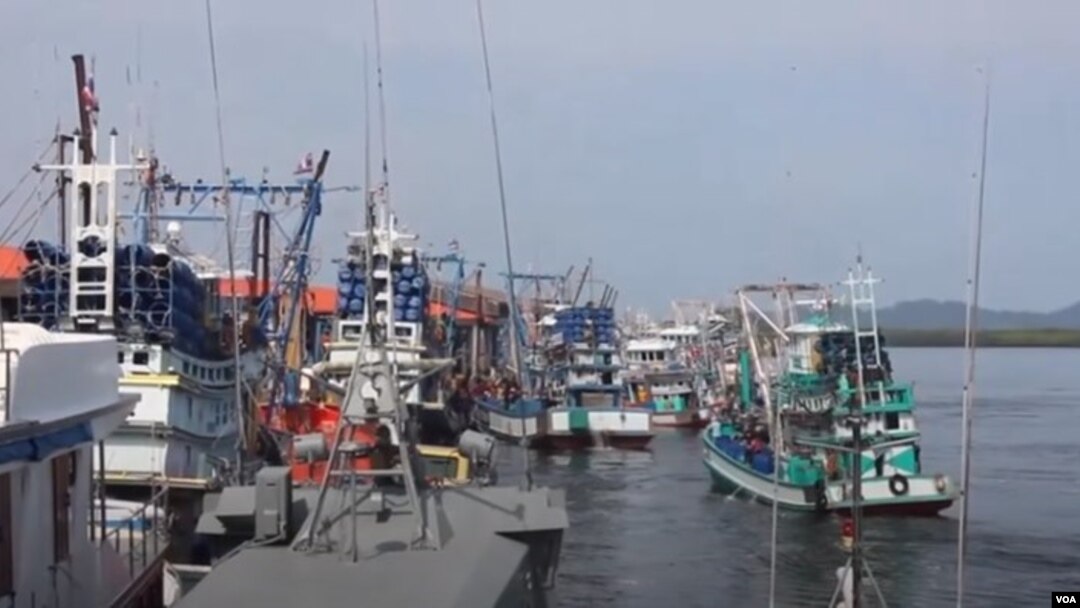 မြန်မာအလုပ်သမားတွေ အလုပ်လုပ်နေတဲ့ ဖန်ငခရိုင်က ငါးဖမ်းစက်လှေများ။