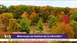 Le mois des citrouilles aux Etats-Unis