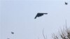 US B-2 stealth bomber flies south of Seoul, South Korea, March 28, 2013