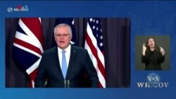 Студія Вашингтон. Військові США візьмуть участь в навчаннях в Україні
