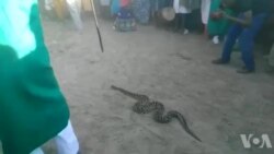 Umphrofethi egwaza umgobho abawukhiphe edamu leGaranyemba ngoLwesihlanu