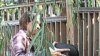 Washington, DC resident Ingrid Drake composts all year long - both in the backyard and in her basement.