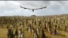 Game of Thrones ပရိတ်သတ်တွေအတွက် စီးရီးသစ်