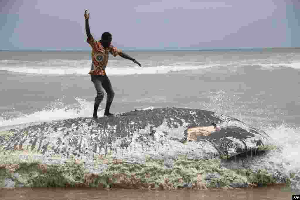 A man stand on a dead whale in Kokrobite, a coastal village just outside Accra. Five whales have washed ashore within three days in Ghana. 