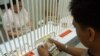 A customer counts Philippine pesos at a money changer in Manila, (File photo).