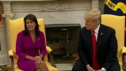 Haley: I'm Not Running in 2020
