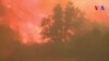 Deux ministres en visite sur le site d'un incendie en Californie