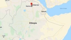 ሰላማዊ ሰልፍ በትግራይ ክልል