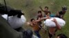 Villagers affected by last week's Typhoon Haiyan scramble for aid from a U.S. Navy Sea Hawk helicopter from the U.S. aircraft carrier USS George Washington in the coastal town of Tanawan, central Philippines. Nov. 17, 2013. 