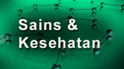 Kaitan Sakit Jiwa dan Kekerasan Dengan Senjata