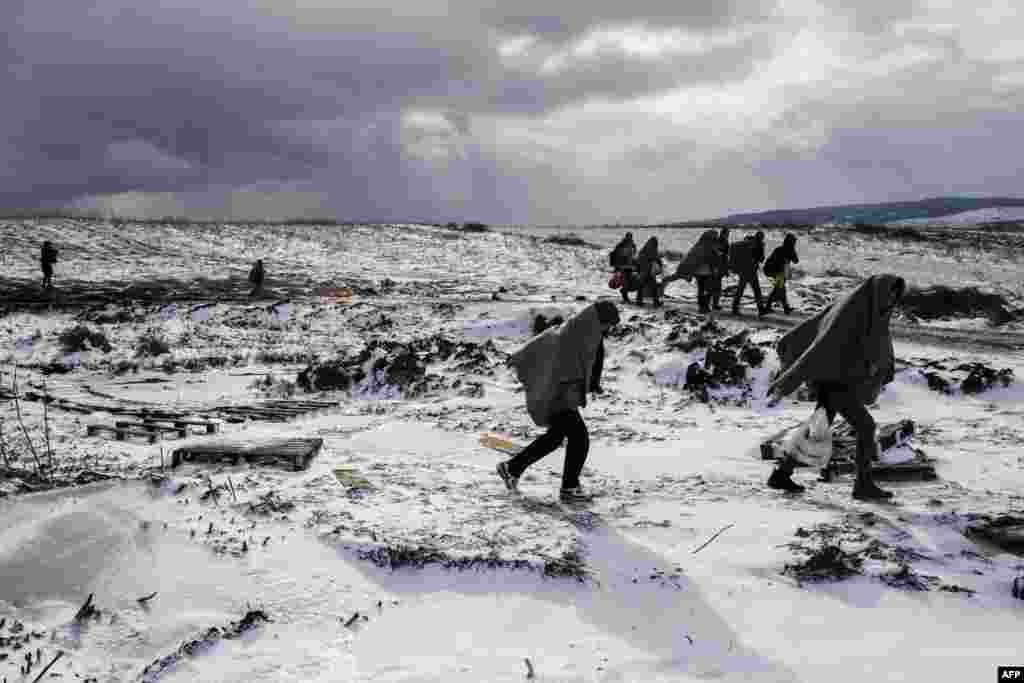 Migrants and refugees use their sleeping blankets to keep warm as they walk along snow covered fields after crossing the Macedonian border into Serbia, near the village of Miratovac.