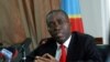 DRC Plans Massive Investments in Power Generation, Agriculture 