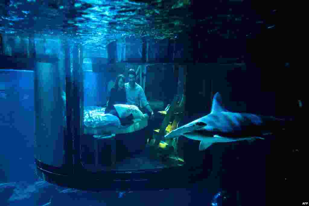 Alister Shipman from Britain and Hannah Simpson from Northern Ireland, winners of a competition on the Airbnb accommodation site, look at a shark tank from an underwater bedroom at the Aquarium de Paris, France, April 11, 2016. The winners were offered a free one night stay in the underwater bedroom.