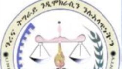 የዓረና መግለጫ