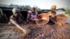 Le cacao grimpe, dopé par la Côte d'Ivoire et le Ghana