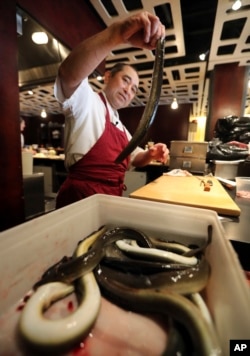 FILE - Chef Masa Miyake prepares to clean and cook eels at his Japanese restaurant, in Portland, Maine, July 20, 2017.
