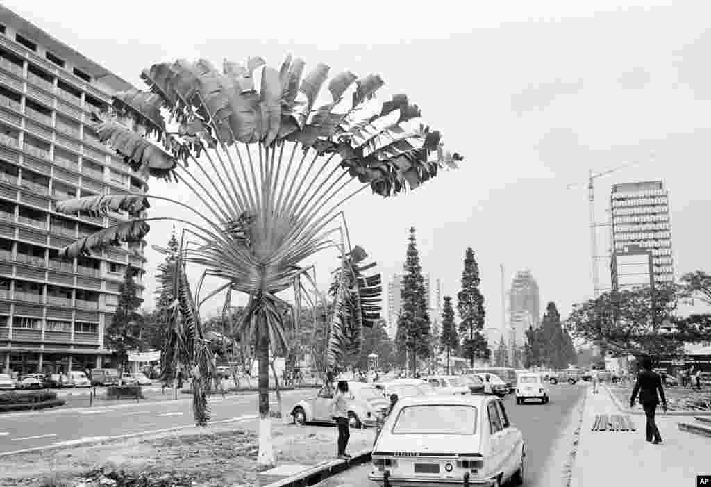 Shaampiyooni Booksii, Gurraachii Ameerikaa Eenyummaa Ofii Lallisuudhan Beekkamu Muhammad Alii oggaa 74tti Addunyaa Kanarraa Du&#39;an Boqate