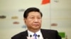 中国国家主席习近平 (资料照片)