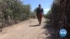 Teen Pregnancies Spike in Kenya as Schools Remain Shuttered