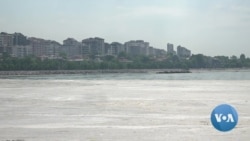 Turkey Fights 'Sea Snot' to Prevent Ecological Disaster