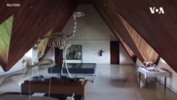 Le Nigeria a le seul musée d'Histoire naturelle d'Afrique de l'Ouest