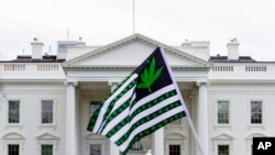 资料照片：一名示威者在白宫外挥舞绘有大麻叶的旗帜，呼吁将大麻合法化。(2016年4月2日)