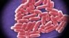 Bacteria (CDC)