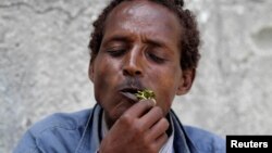 Somalia's ban on flights importing the popular narcotic khat from Kenya appears to be holding up in the capital, Mogadishu, although a region to the north is defying the ban.