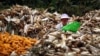World Food Day: Co-Operatives Feed People Around Globe