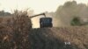 Chinese Rejection of Some GMO Corn Worries US Farmers