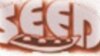 SEED Ethiopia Awards logo